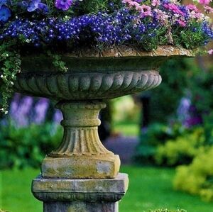 Meet your Posher, Villa